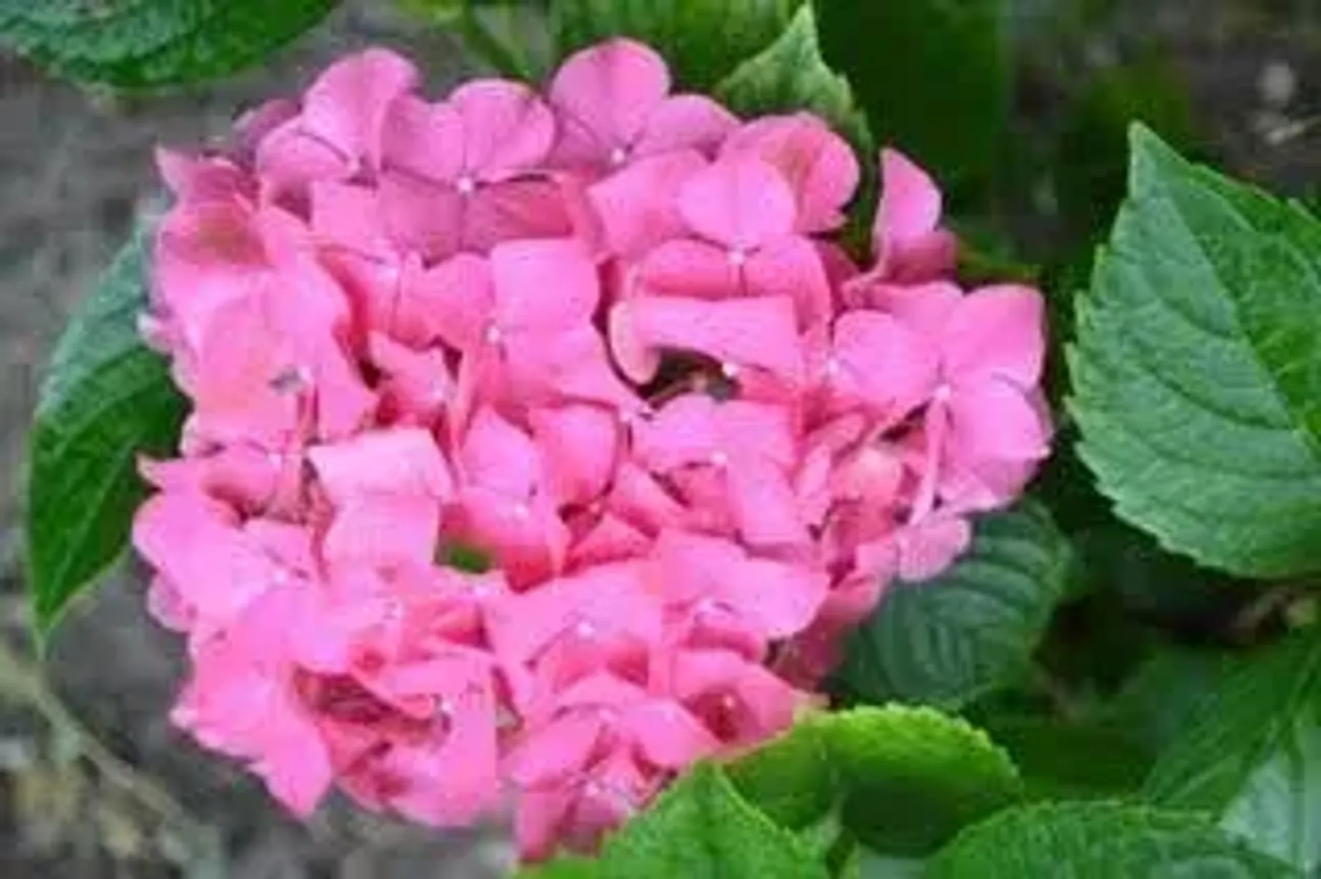 Landscaping Services in Indian River, MI — Hope Landscaping LLC, Northern Michigan