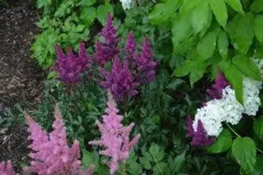 Weeding, Raking, and Other Garden Services