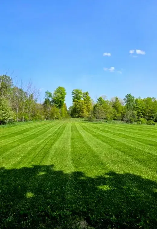 Landscape Design Services in Indian River, MI — completed Hope Landscaping LLC project